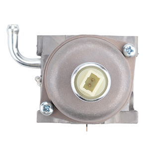 Carburador 796109