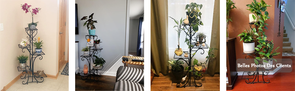 ESCALIER A PLANTE