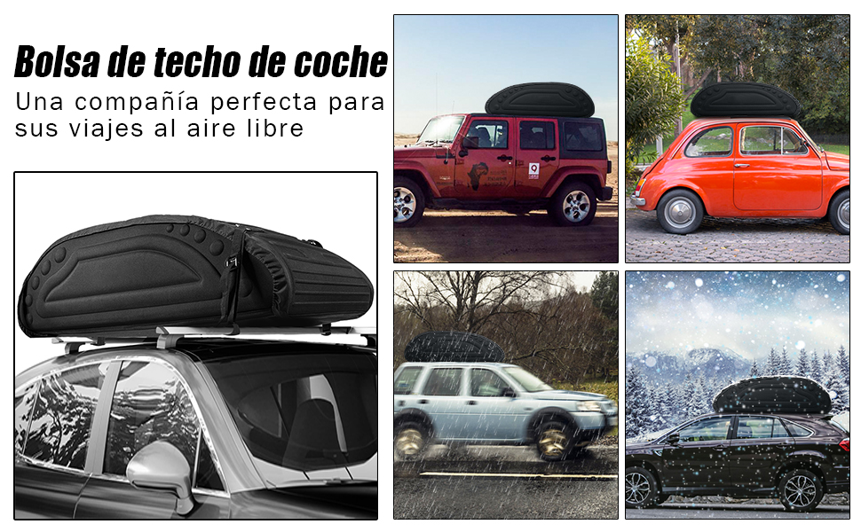 Bolsa de techo