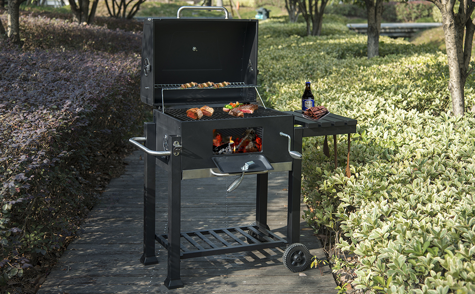 Barbecues à charbon