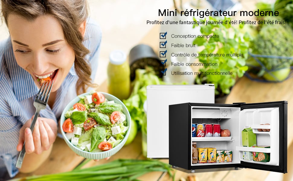 COSTWAY Mini Frigo Mini Réfrigérateur 46L à 2 Etagères 7 Niveaux