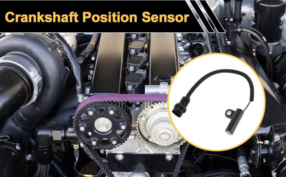 Standard Image Header With Text