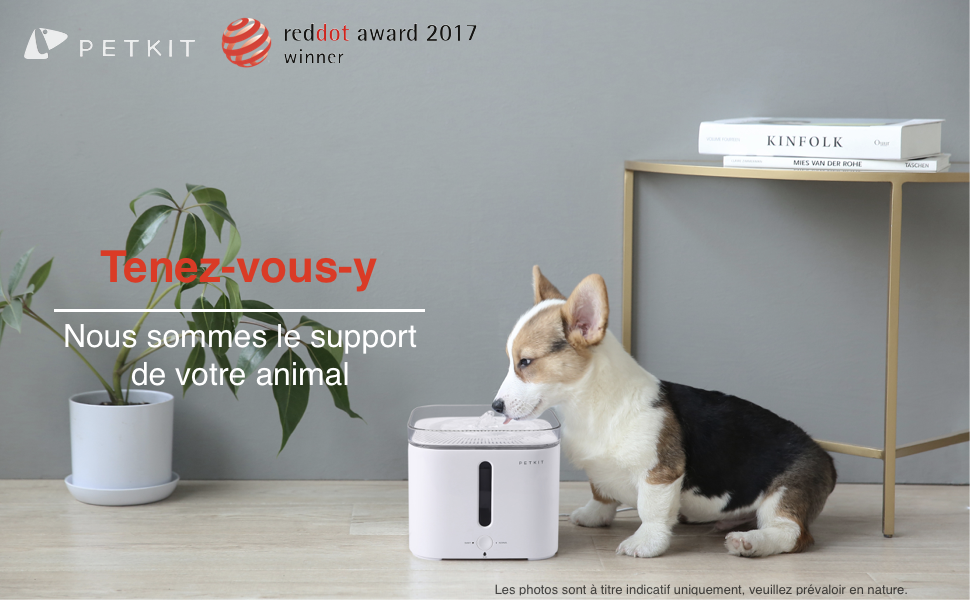 fontaine à eau pour chat chien fontaine à eau pour chat silencieuse petkit eversweet water fountain