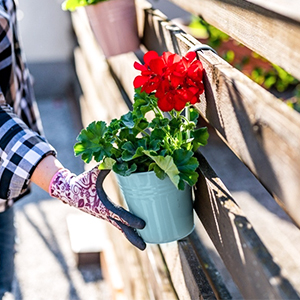   flower pots