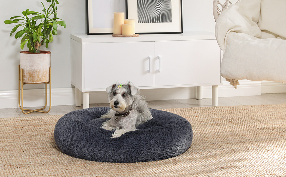 Panier pour chien