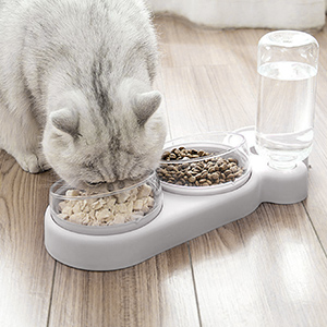 Gamelle Double Nourriture Bols Bol pour Animaux de Compagnie Set