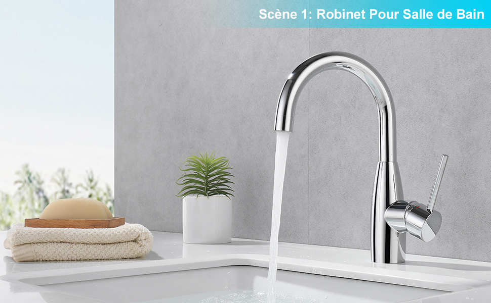 Robinet Salle Bain