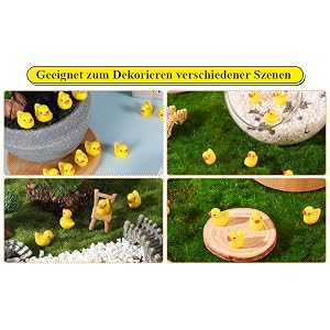 Petits canards
