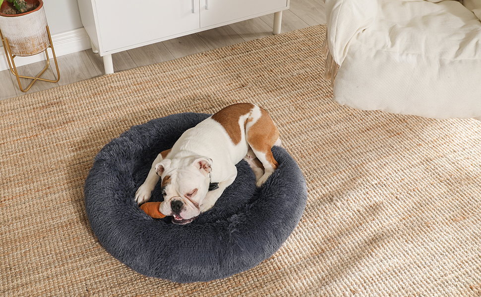 Panier pour Chien