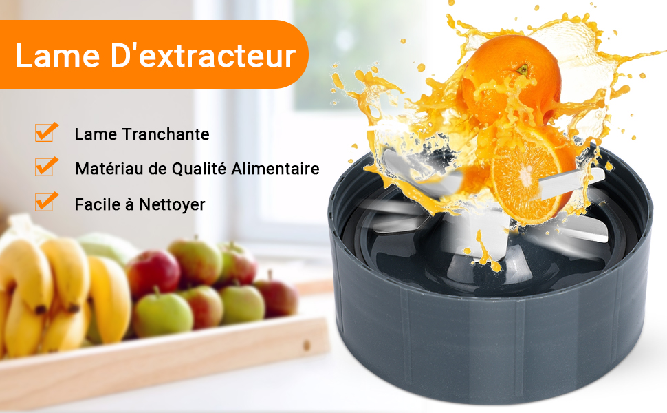 Base de Lame en Acier Inoxydable