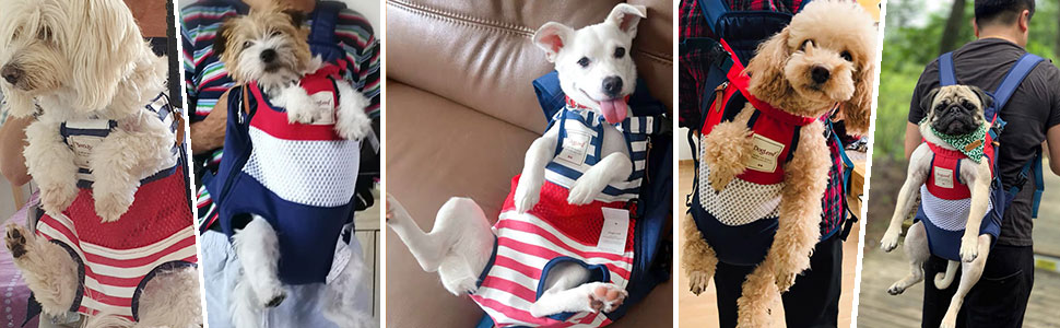 sac transport chien pour balade randonnée voyage