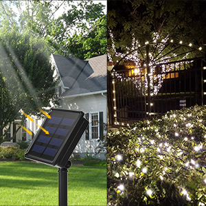 Solar String Lights 