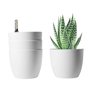 self watering planter