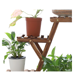 support plante