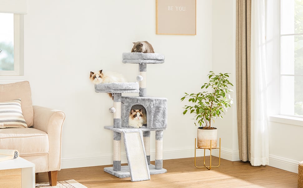 FEANDREA Arbre à Chat, Tour Poteaux à Gratter 115 Cm, Gris Clair Par SONGMICS PCT141W01 -Amis Poils Soldes Boutique AAHKMJXYDAFdJAOAIMEbOAchlkWZ0oakZn uVZ0mPidMNbILvCvspZ4oG3fPgIqc1P05C5SmPDKg0UZdk7akth5AYb28TYjjgzZ2LdljQ9OlKGlpREWOgW2tskK5BxtP6Ht4yqB0YW3MKQ9 gpMw Kyy