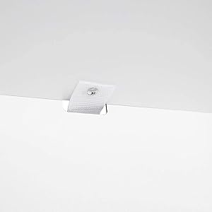 DS