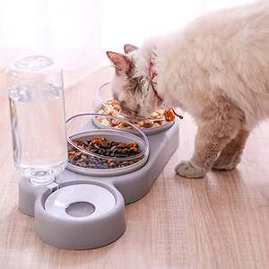 Gamelle pour Chat et Chien Double Bol à Double Chat avec Support surélevé