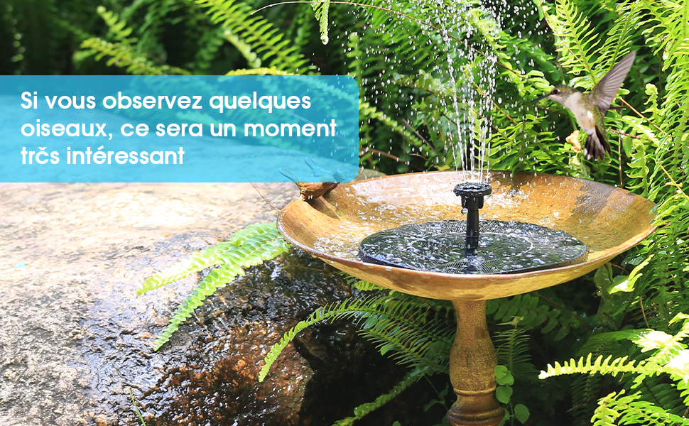 Fontaine Solaire