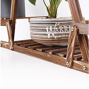 organizador plantas