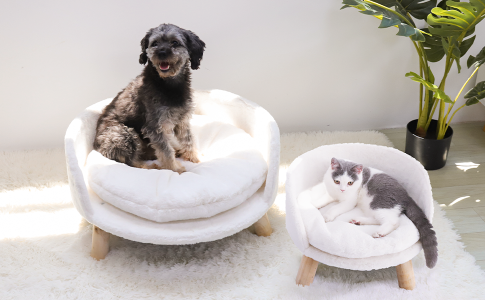 Divanetto Lettino Gatto divanetto per cani lettino per cani cuccia cane interno taglia piccola cucce