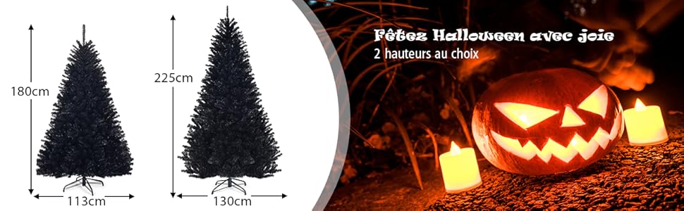 Fêtez halloween avec joie