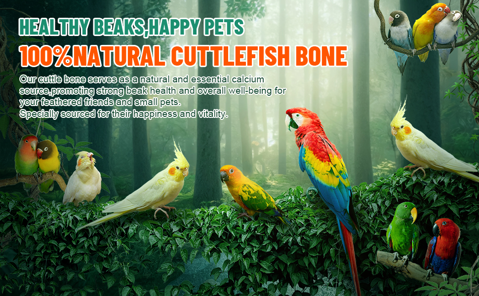 Parrots Chew Toys 