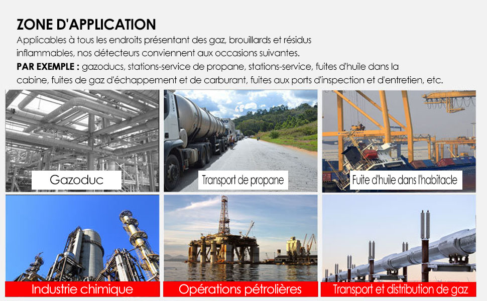 détecteur de gaz inflammable