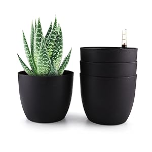 plastic plant pot