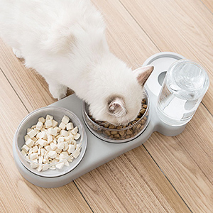 Bol à Aliments pour Animaux de Compagnie