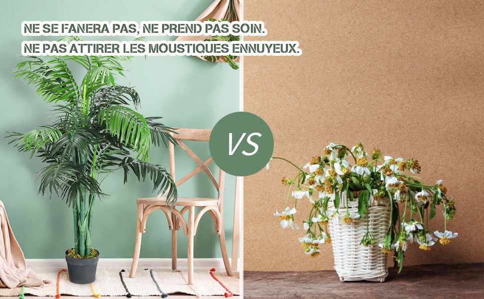 Comparaison