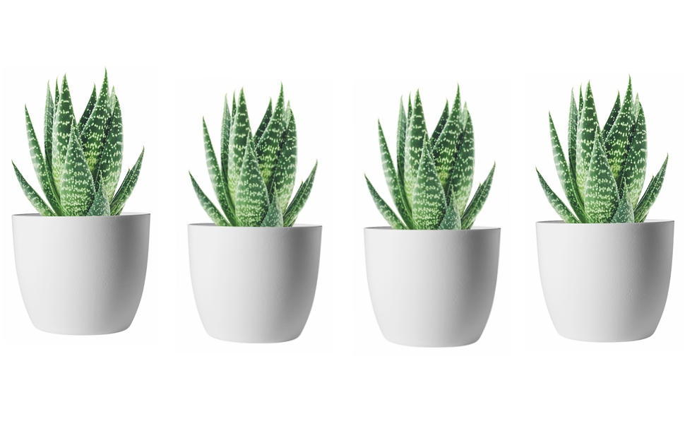 self watering plastic planter