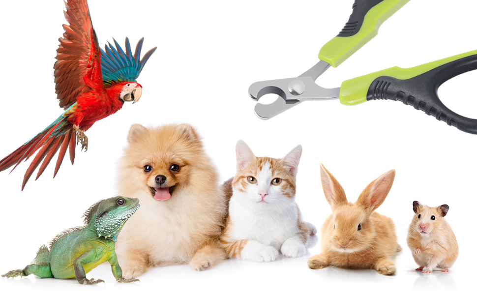 Cortaúñas para perros y gatos