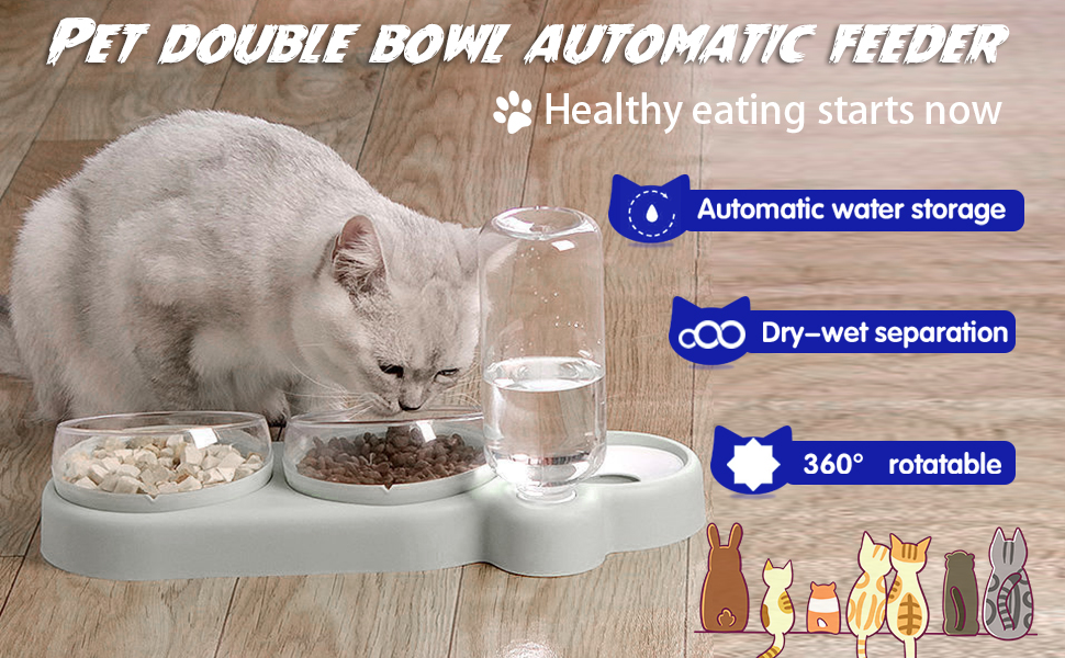 Bols pour Chats bol anti vomissement pour chat Chat Nourriture Bol chaton accessoires