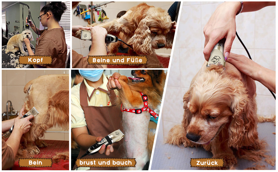 tondeuse à poils pour chien