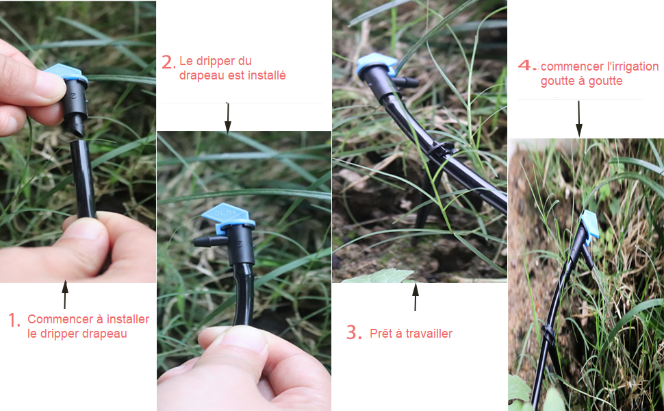 commencer l'irrigation goutte à goutte