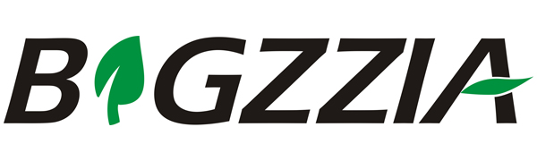 bigzzia