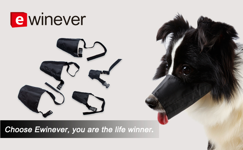 Dog Muzzles Suit 1