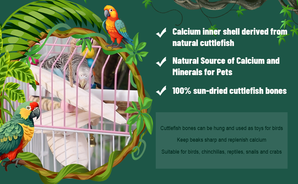 6 Pieces Natural Cuttlefish Bone for Parrots Cage Birds