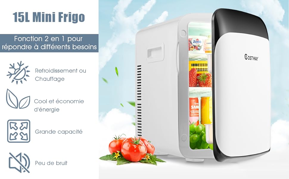 COSTWAY Mini Réfrigérateur Portable Fonction Chaud et Froid 5 ℃ ~ 50 ℃ Mini  Frigo 15L 12V/220V-240V pour Maison/Voiture F Noir