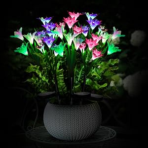 Luces solares para jardín Exterior
