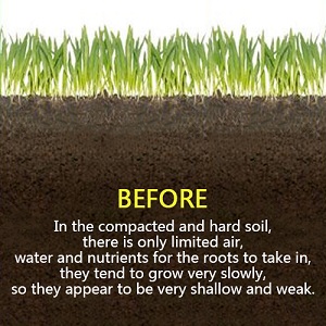 Aerator Image 3
