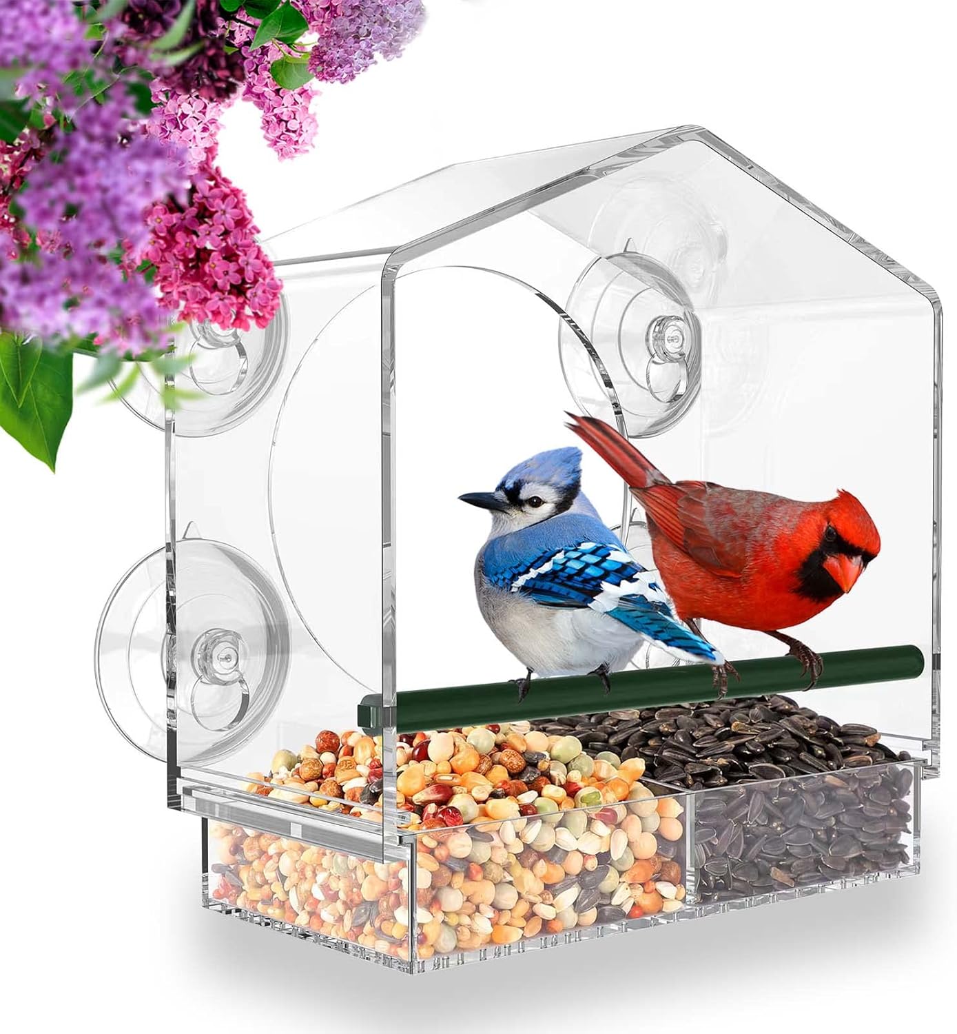 Mangeoire à oiseaux en acrylique transparent alimentant le bol pour animaux