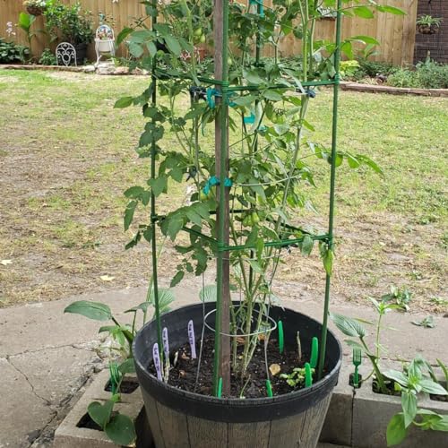 Tutori Per Orchidee 10 Pezzi 60 Cm Con Clip - Pali Metallici Rivestiti In Plastica Verde Per Piante Rampicanti - Supporto Per Fusti E Viti