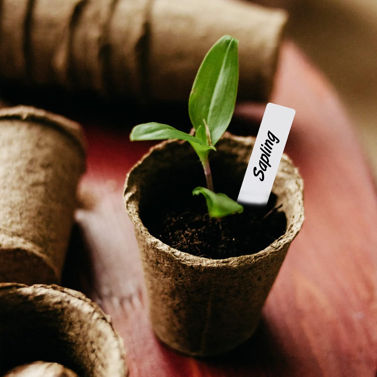 200 Pièces 5 X 1 Cm Petites étiquettes Blanches De Plantes, Marqueurs De Jardin En Plastique -Terre Tendre Soldes Boutique