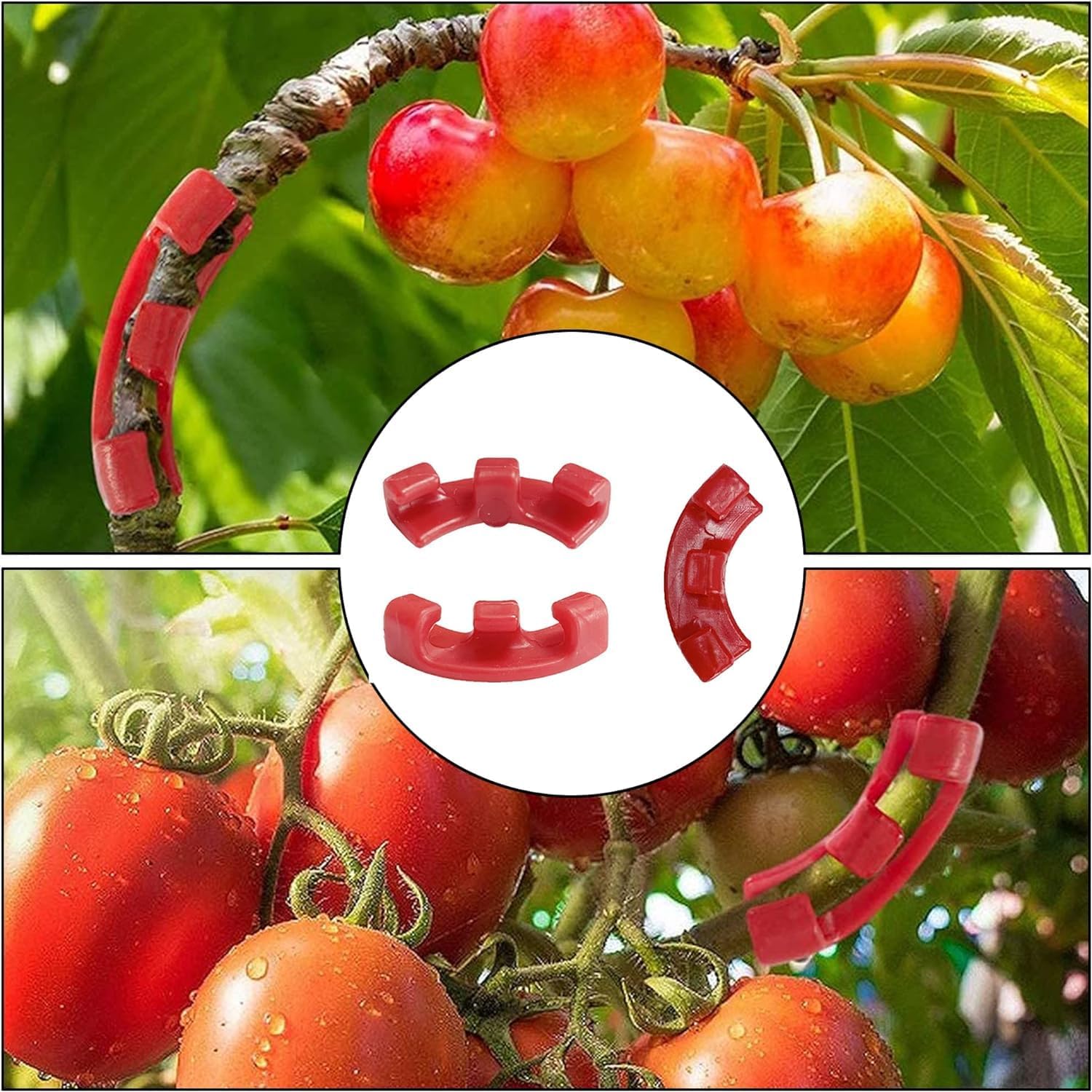 Lets Joy Clip per Piante, 200PCS Clip per Piante da Giardino