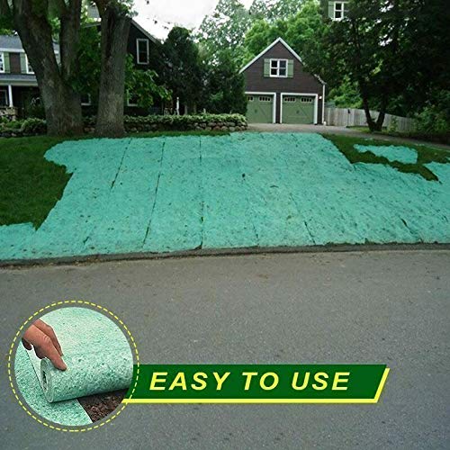 Rouleau De Tapis De Semences D'herbe, Coussin De Graines De Gazon Biodégradable, Solution De Croissance De Plantes De Jardin Pour Pelouses, Propagation Agressive Des Graines De Gazon (sans Graines) JU -Flore Riche Soldes Magasin AAHKMJXYDAFdJAOAIMEbOAchlkWZ0oakZn uVZ0mPidMNbILvCvspZ4oG3fPgIqc1P16W2ltEJkOGztISXY0dIbmqLaMQqYsmctBgAYXf27KDA==