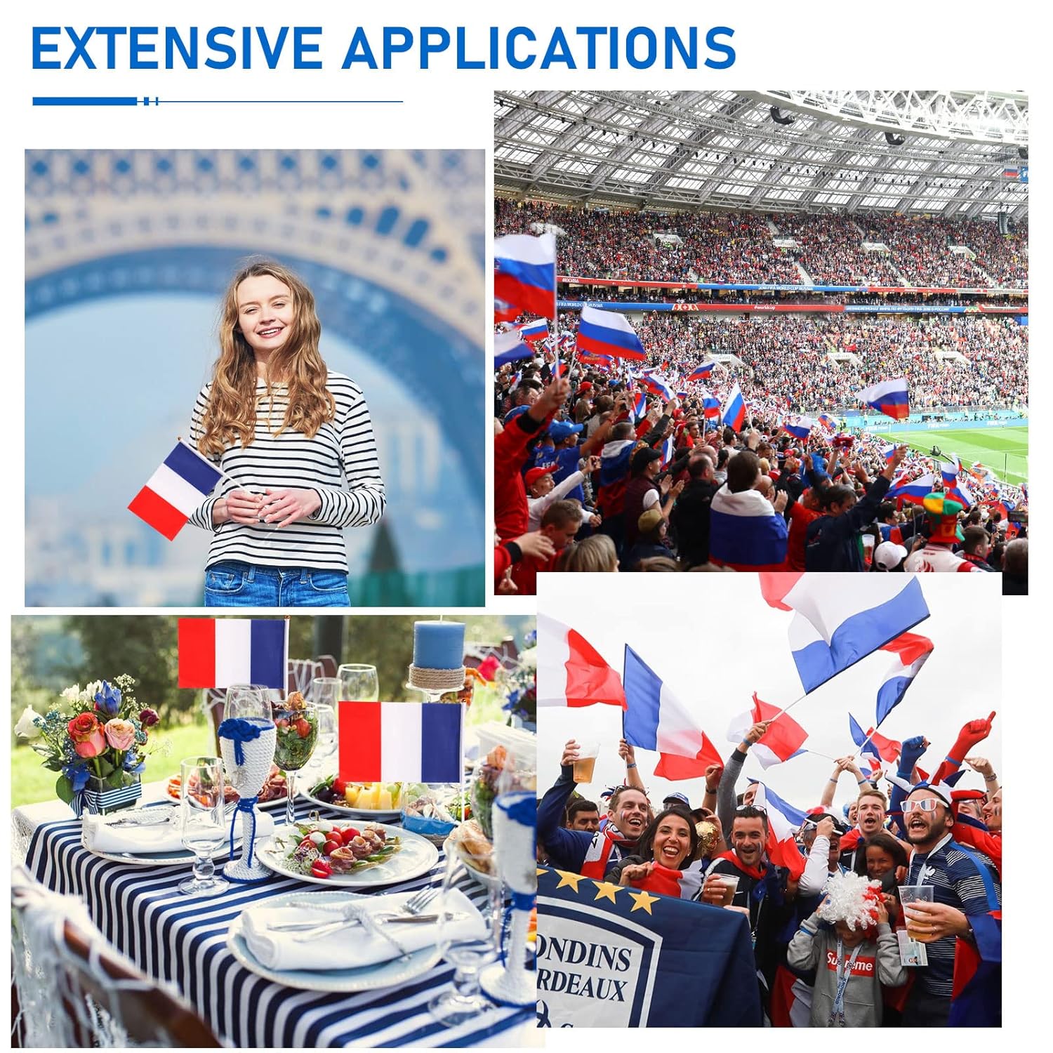 Lot de 10 petits drapeaux français avec baguette en plastique, mini drapeau  français de la France, drapeau national français pour célébrer la Coupe du  monde 14 x 21 cm : : Jardin