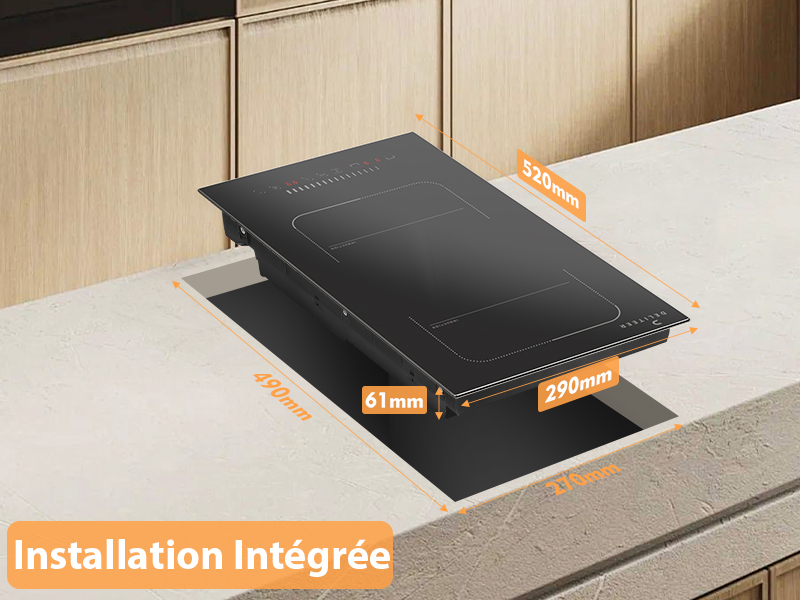 DELITEER plaque de cuisson induction