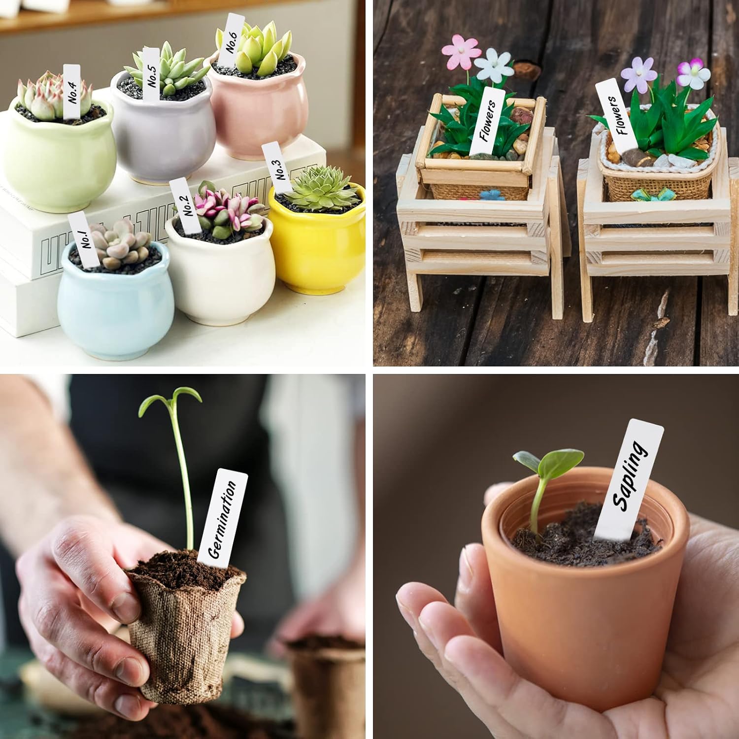 200 Pièces 5 X 1 Cm Petites étiquettes Blanches De Plantes, Marqueurs De Jardin En Plastique -Terre Tendre Soldes Boutique AAHKMJXYDAFdJAOAIMEbOAchlkWZ0oakZn uVZ0mPidMNbILvCvspZ4oG3fPgIqc1P1j7K7HyNdTYAu9A9I4qdoNVk2BPG7TcGTnukluquWH6Q==