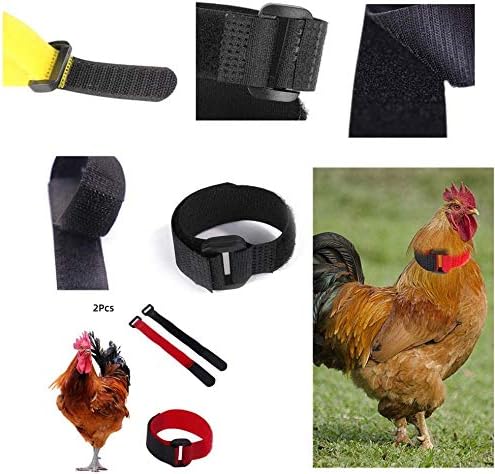 Sella Protettiva Per Galline - Gilet Con Cinghie Elastiche Taglia M/L | Protezione Da Beccate E Per Ricrescita Piume - Foto 2
